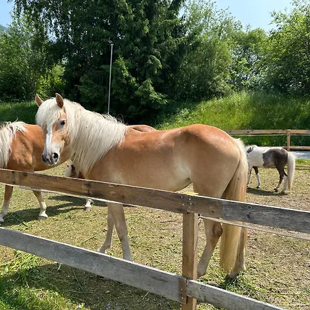 Zillertalerhuette Aschau Im Zillertal