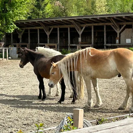Zillertalerhuette * Aschau Im Zillertal
